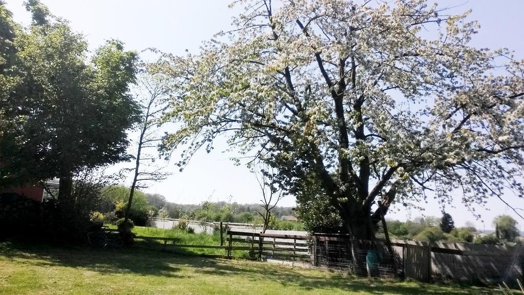 Gite Labradors De Bailly - Giverny Saint-Pierre-la-Garenne Eksteriør bilde
